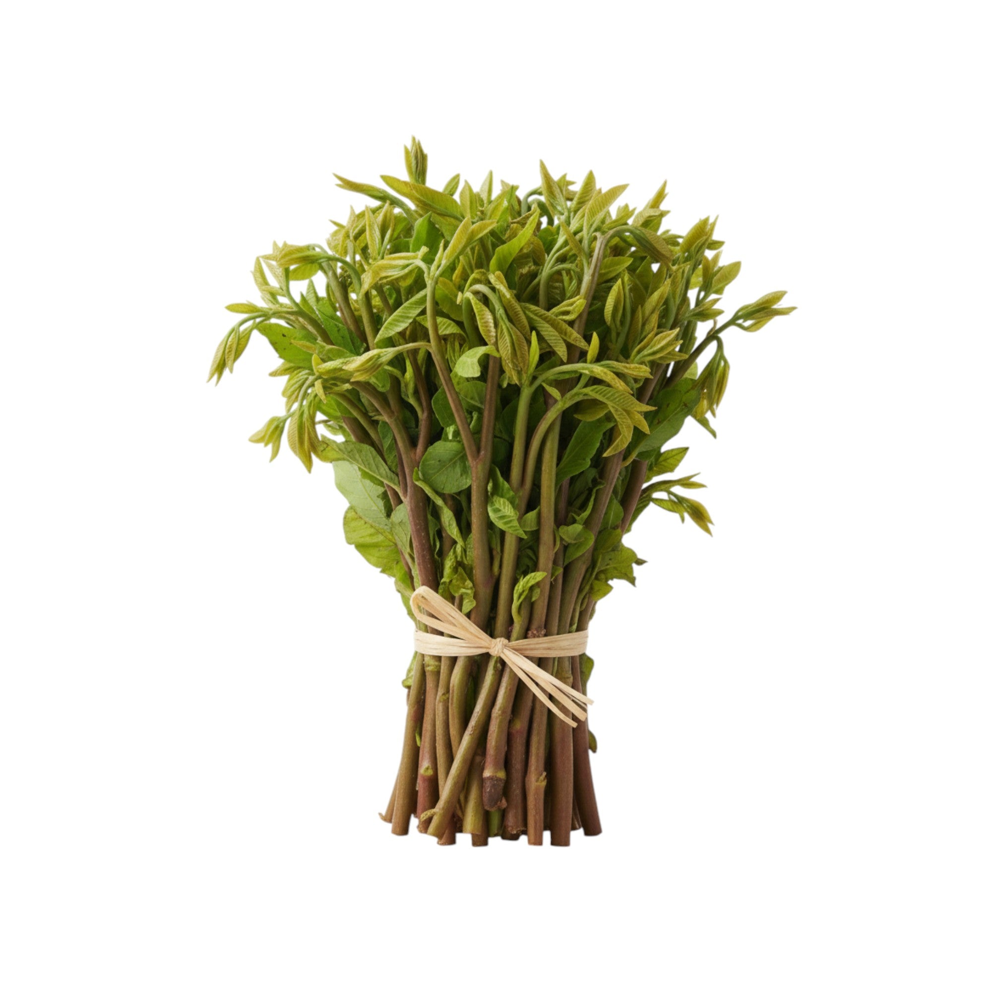 Thingthupi | Singthupi